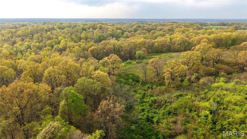 0 County Road 261, Advance, MO, 63730 | Card Image