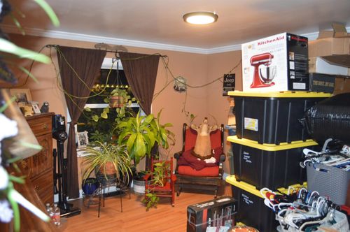 41 Morin Ave, Keene, NH, 03431-1532 | Card Image