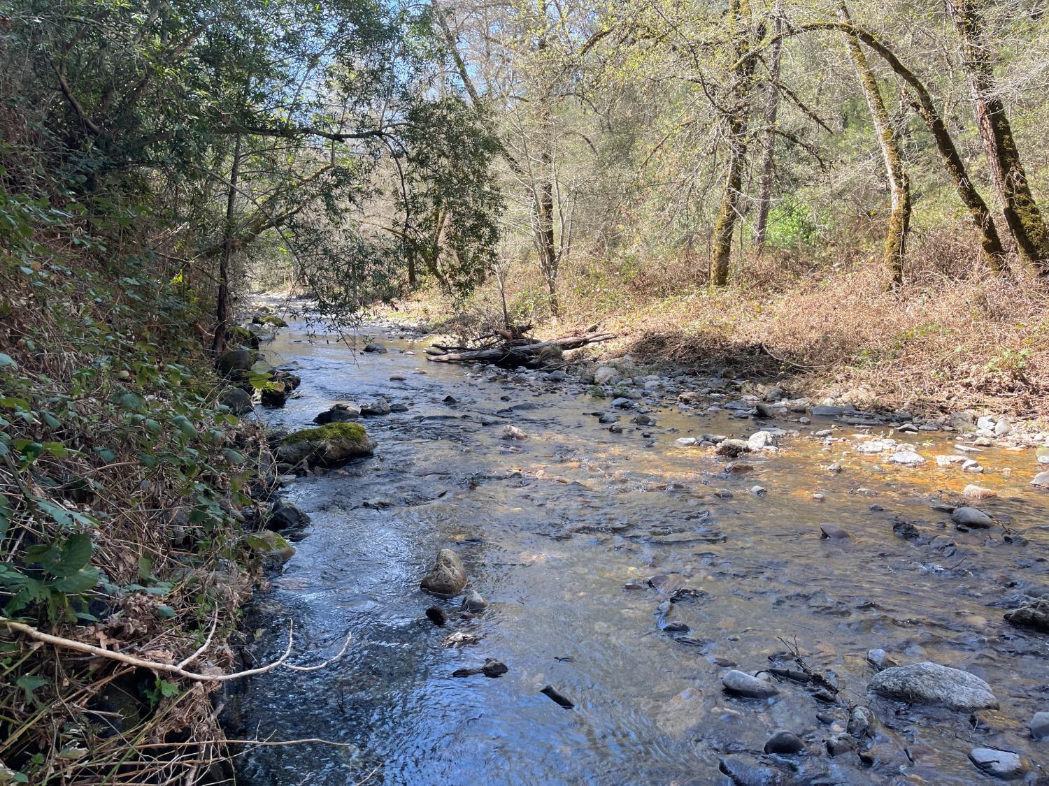 Land in Sutter Creek