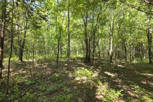 0 N Old Military Rd, Summertown, TN, 38483 | Card Image