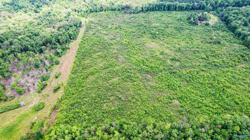 10 acres County Road 14, Flat Rock, AL, 35966 | Card Image
