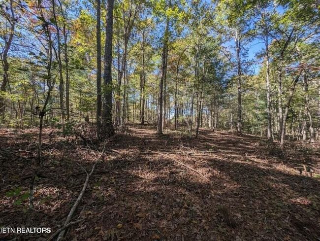 239 Sewell Dr, Home with 0 bedrooms, 0 bathrooms and null parking in Allardt TN | Image 4