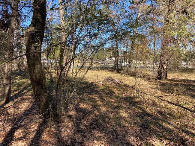 1702 Bembridge Dr, Home with 0 bedrooms, 0 bathrooms and null parking in Spring TX | Image 10