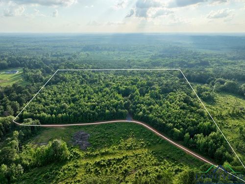 21 ac County Road 2349, Marietta, TX, 75566 | Card Image