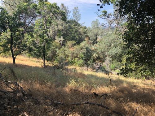 3075 Gold Nugget Way, Placerville, CA, 95667 | Card Image