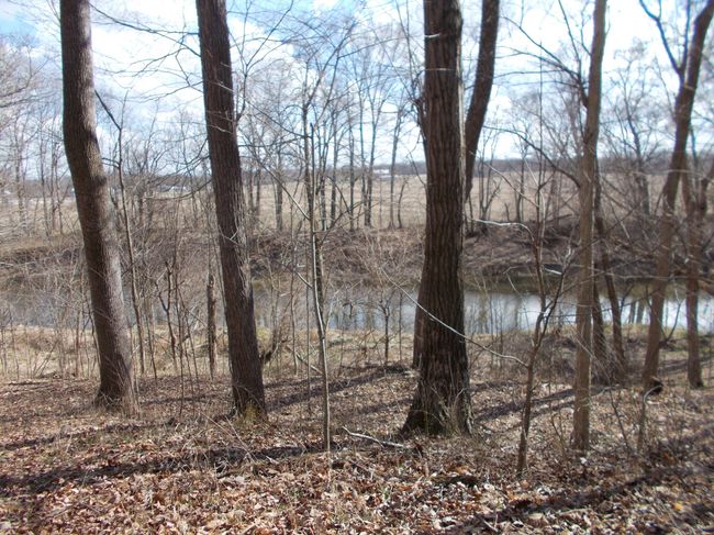 0 N State Highway 7, Home with 0 bedrooms, 0 bathrooms and null parking in Scipio IN | Image 19