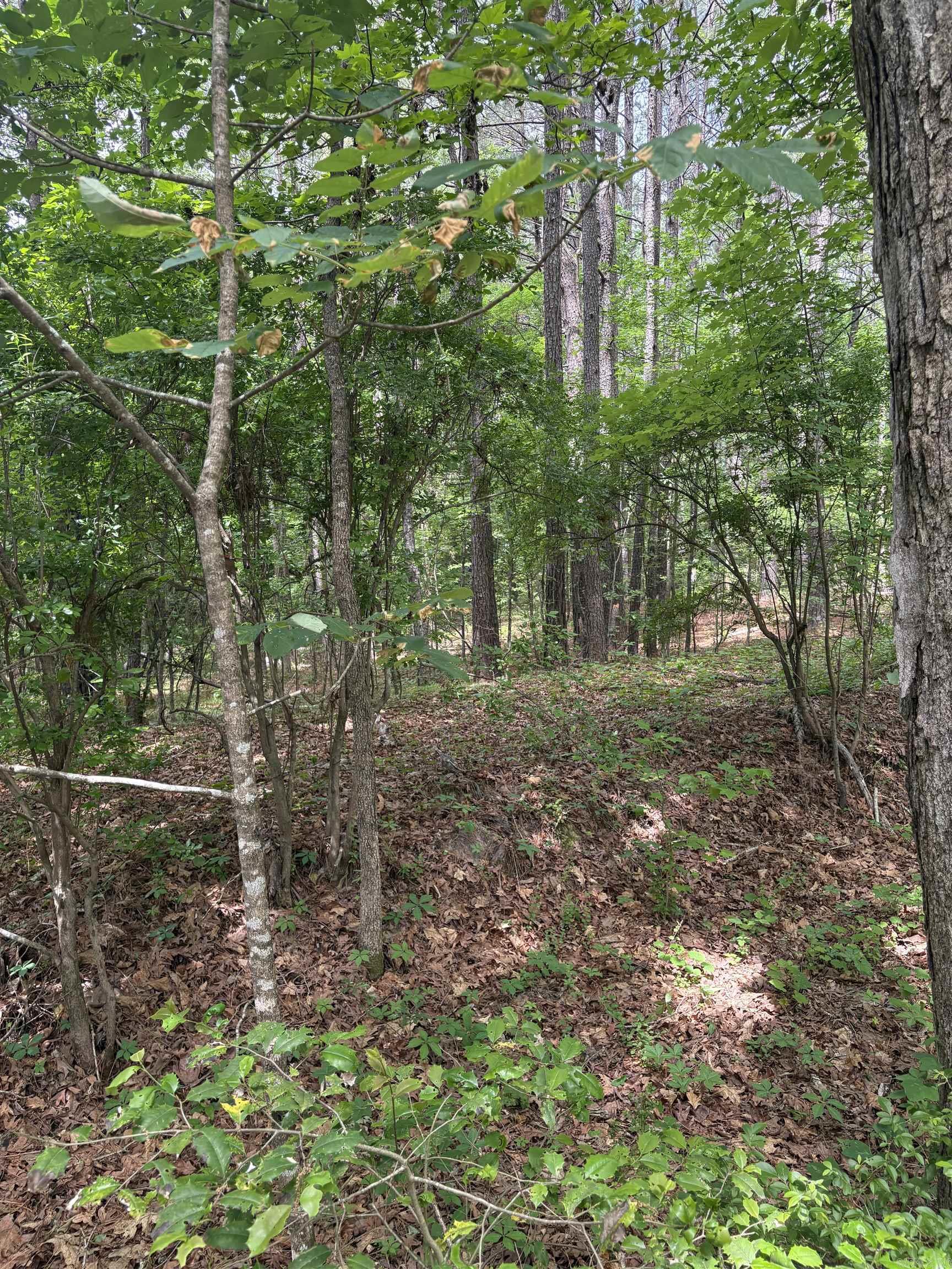 Land in Hensley 3