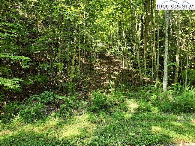 25 - 301 Bear Track Ln, Home with 0 bedrooms, 0 bathrooms and null parking in Lenoir NC | Image 26