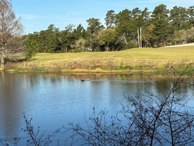 213 Eagles Way, Condo with 2 bedrooms, 2 bathrooms and 2 parking in CARRABELLE FL | Image 54