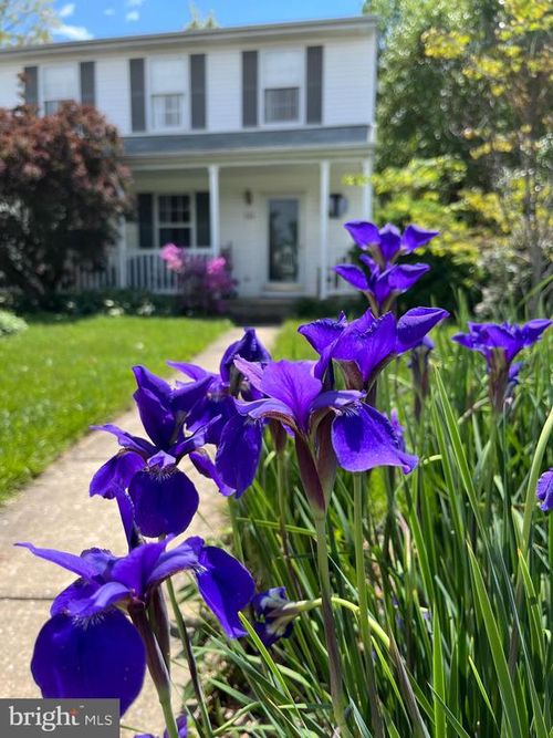 10 Ben Woods Ct, BALTIMORE, MD, 21228-4662 | Card Image