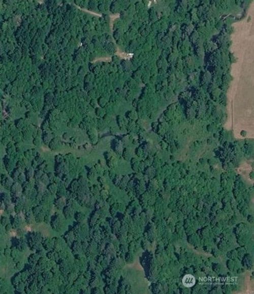 0 Cedar Grove Rd, Randle, WA, 98377 | Card Image
