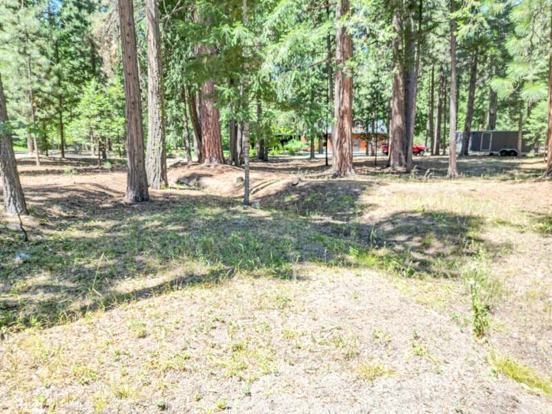 Land in Mount Shasta 3
