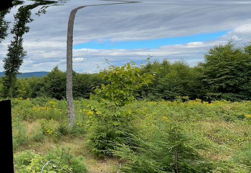 11 Jordan Heights Road, Cornish, ME, 04020 | Card Image