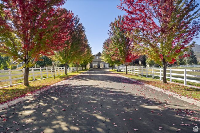 View of asphalt driveway with a view of rural / pastoral area | Image 5
