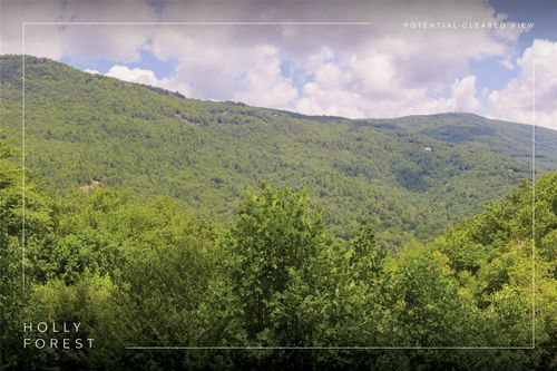 Lot 91 Bald Eagle Ct, Sapphire, NC, 28774-8705 | Card Image