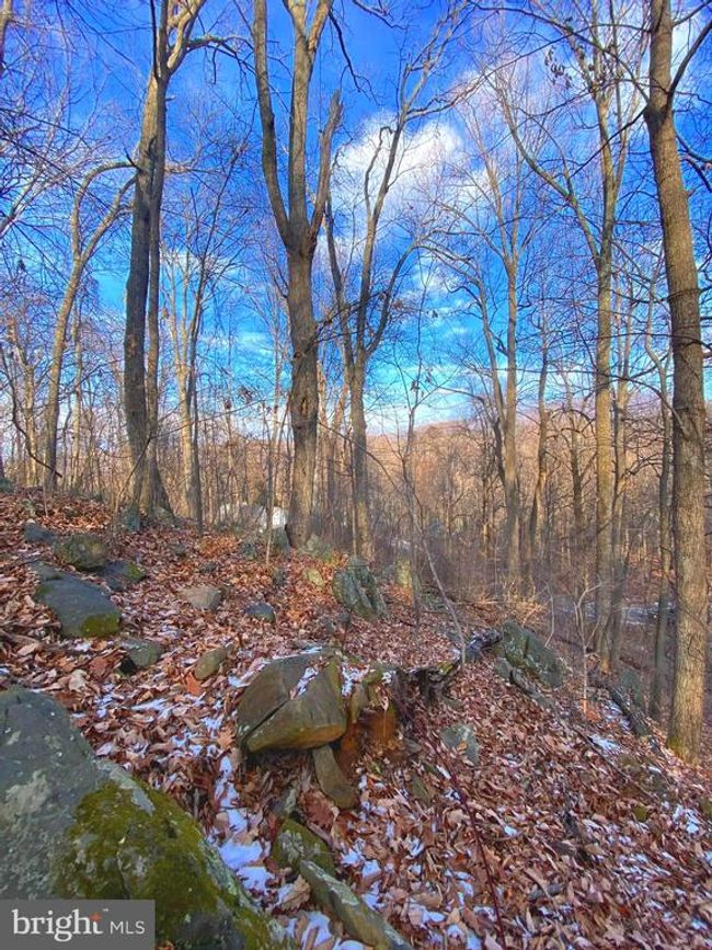 00 Hickory Tree Rd, Home with 0 bedrooms, 0 bathrooms and null parking in FRONT ROYAL VA | Image 14