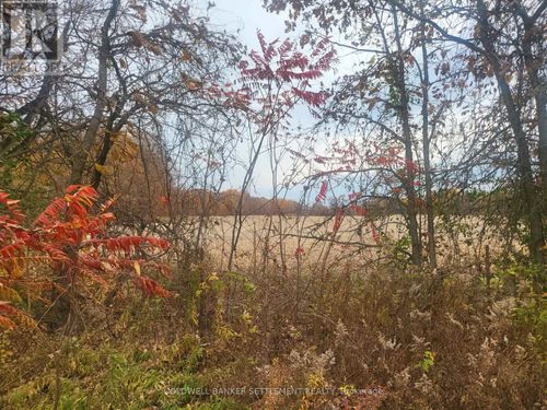 Lot 1 Bush Road E, Rideau Lakes, ON, K0G1E0 | Card Image