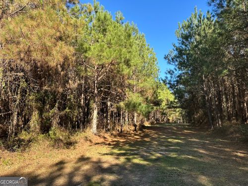014 Mount Zion Rd, Gordon, AL, 36343 | Card Image