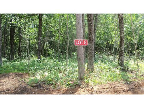 Lot 5 Brch Tree Trl, RUSK, WI, 54801 | Card Image