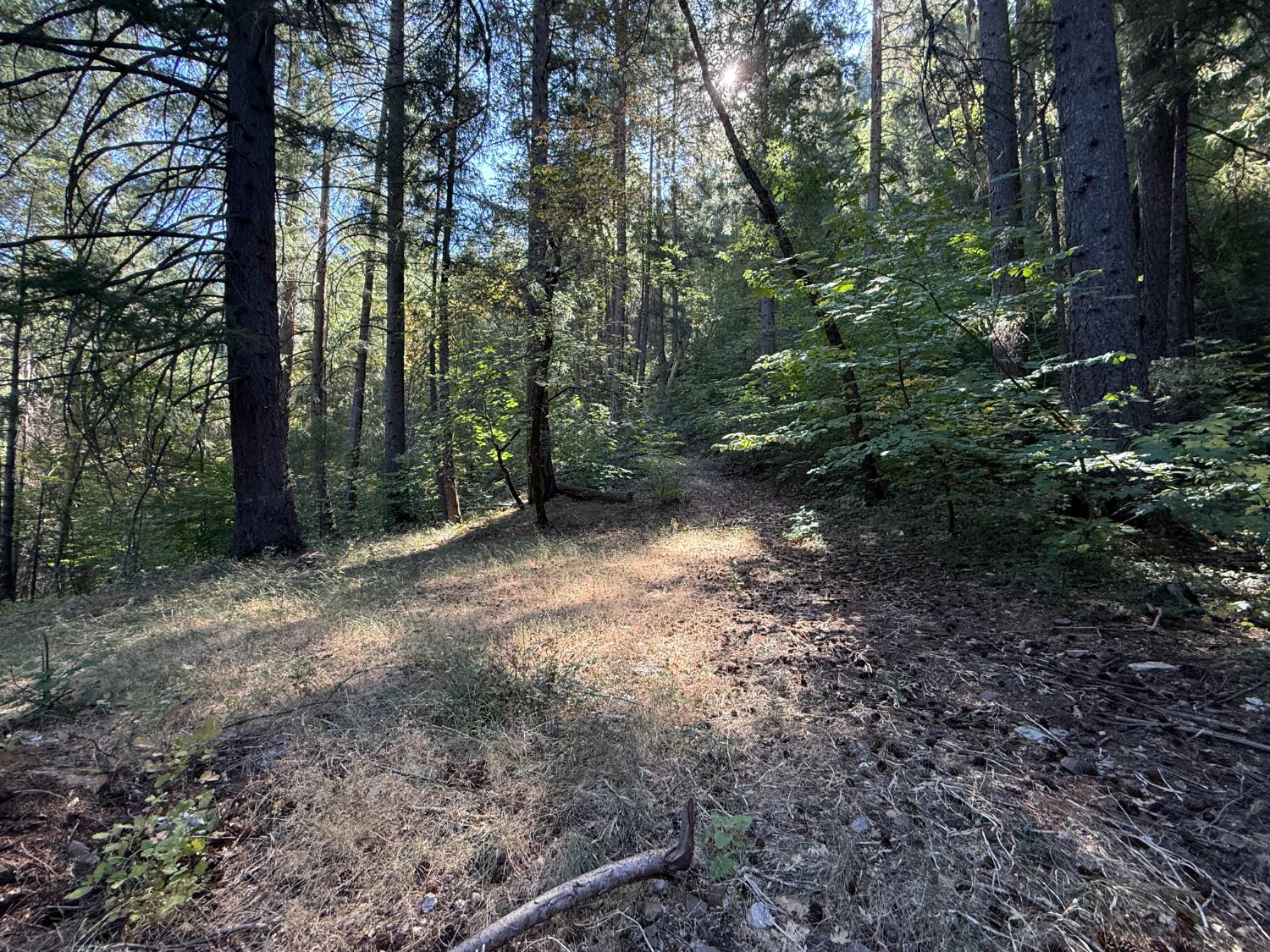 Land in Emigrant Gap 3