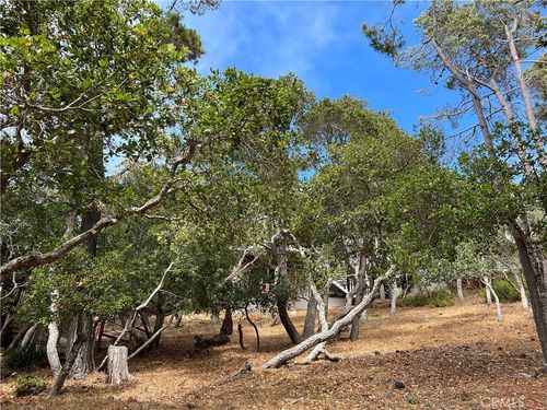 0 Norwich Ave, Cambria, CA, 93428 | Card Image