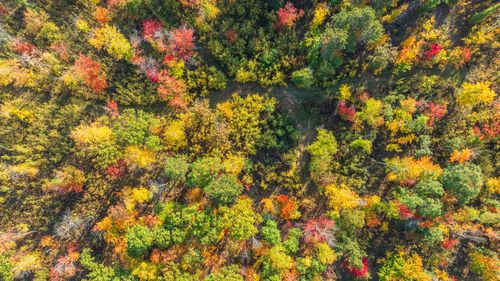 Lot 8 Northwestern Dr, Rhinelander, WI, 54501 | Card Image