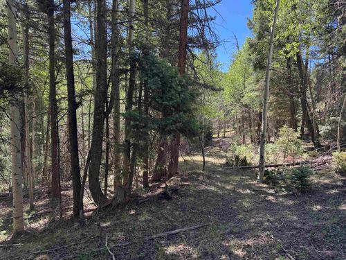 Lot 722 Santo Domingo, Angel Fire, NM, 87710 | Card Image