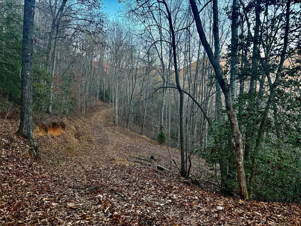 Land in Franklin