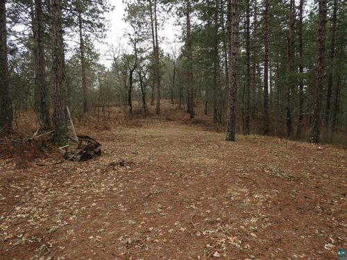 XXXX Wilderness Court, Barnes, WI, 54873 | Card Image