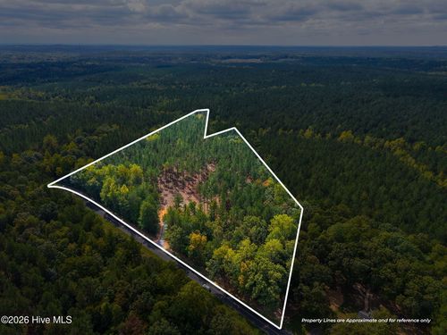 Lot 1 Capelsie Road, Candor, NC, 27229 | Card Image