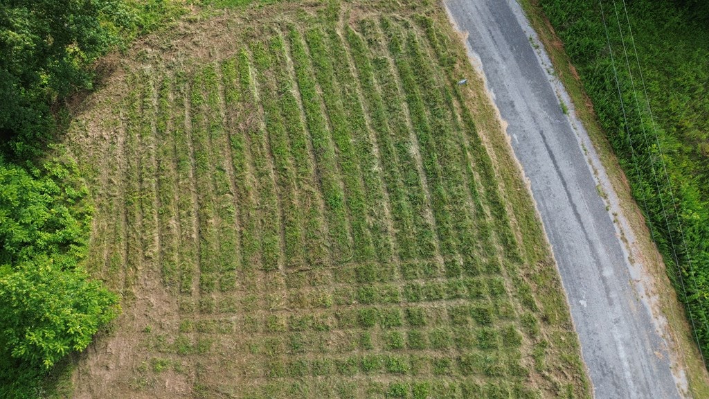 Land in Smithville 4