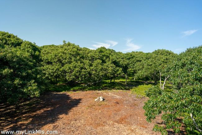 32 Stonewall Rd, Home with 0 bedrooms, 0 bathrooms and null parking in Chilmark MA | Image 10