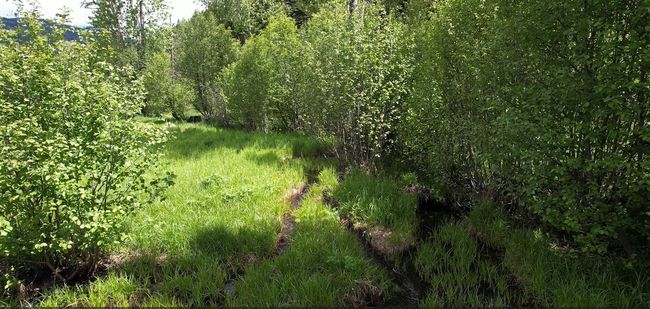 1876 Timber Creek Rd, House other with 8 bedrooms, 6 bathrooms and null parking in Haugan MT | Image 80