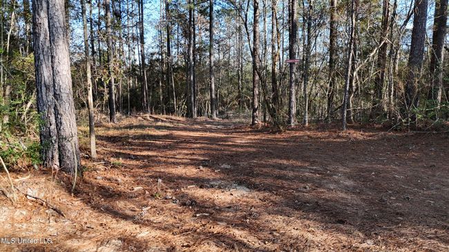 Entry Tract 2 and 3 c | Image 4