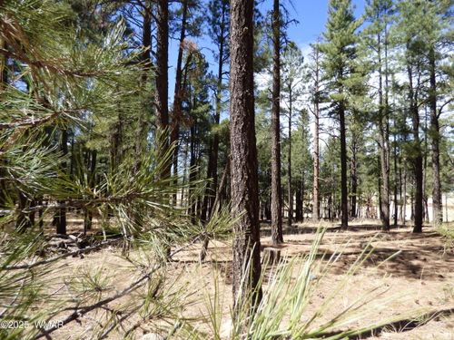 8B County Road 2267, Escudilla Rd, Alpine, AZ, 85920 | Card Image