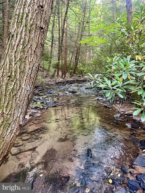 6 Beech Creek Mountain Rd, Beech Creek, PA, 16822 | Card Image