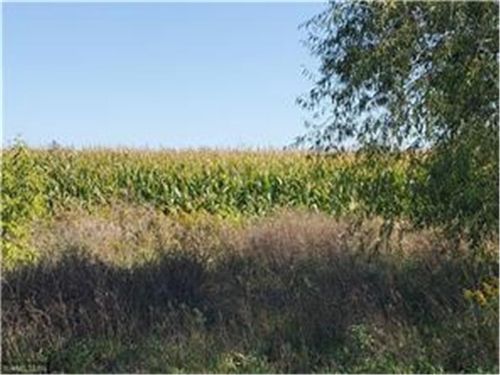 1137 178th St./Dalton Farm Road, Lot 17, Hammond, WI, 54015 | Card Image