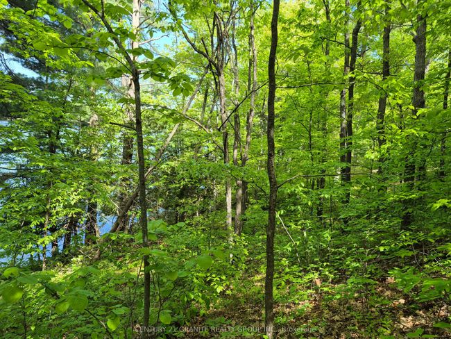 1152 Warrington Lane, Home with 0 bedrooms, 0 bathrooms and null parking in Sharbot Lake ON | Image 13