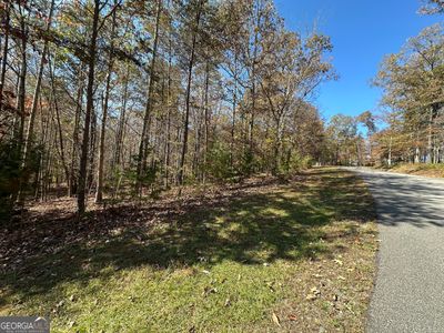 LOT 220 Lands End Trail, Home with 0 bedrooms, 0 bathrooms and null parking in Cleveland GA | Image 3