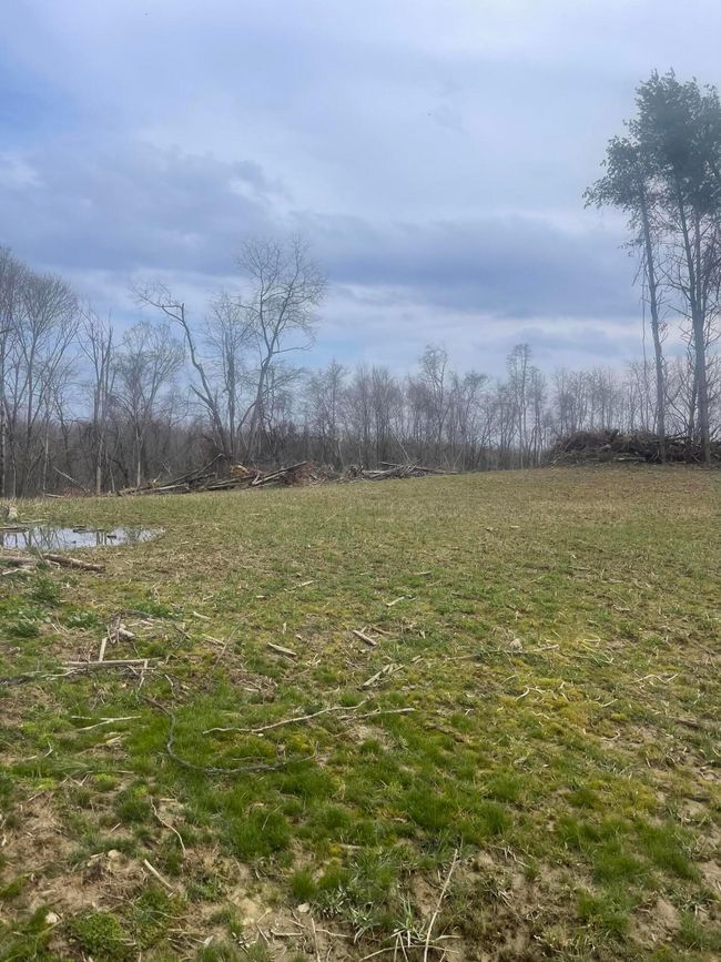 0 Don Wiley Rd, Home with 0 bedrooms, 0 bathrooms and null parking in Caldwell OH | Image 25