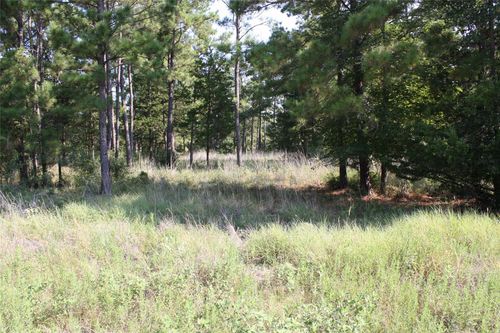 2 Morris Lane, Huntsville, TX, 77320 | Card Image