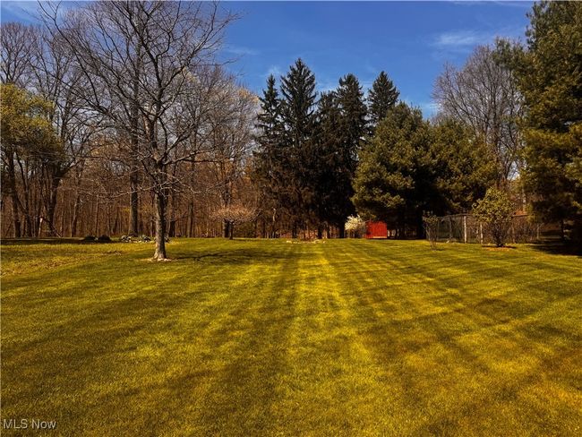 View of yard with an outdoor structure and a storage​​‌​​​​‌​​‌‌​‌‌​​​‌‌​​‌‌​‌​​​​​‌ shed | Image 35