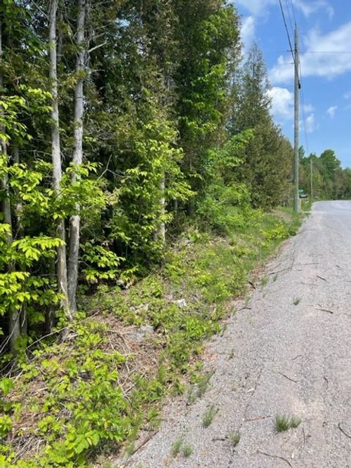 0 N School Rd, Lakefield, ON, K0L2H0 | Card Image