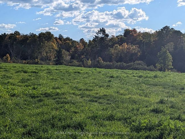 0 Balsam Rd, Home with 0 bedrooms, 0 bathrooms and null parking in McKellar ON | Image 5