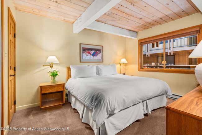 202 - 131 E Durant Ave, Condo with 2 bedrooms, 2 bathrooms and null parking in Aspen CO | Image 9
