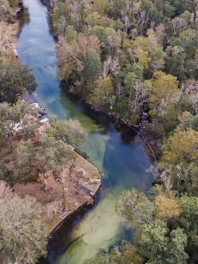 6194 Bear Trl, House other with 4 bedrooms, 4 bathrooms and null parking in WEEKI WACHEE FL | Image 59