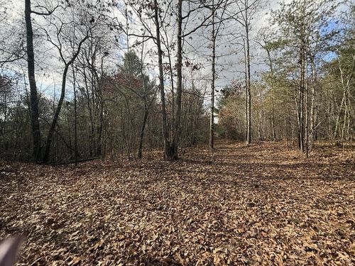 10.76 Ac Valerie Dr, Deer Lodge, TN, 37726 | Card Image
