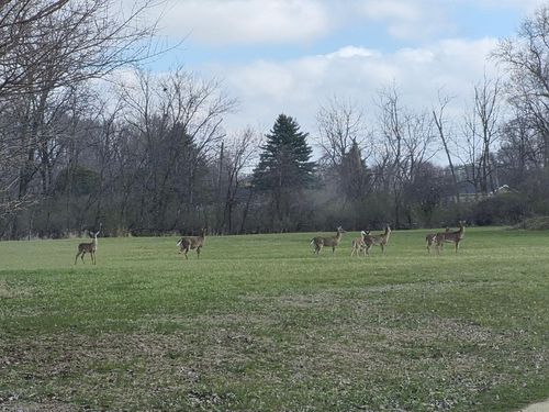 1313 3rd St Ne, Oelwein, IA, 50662 | Card Image