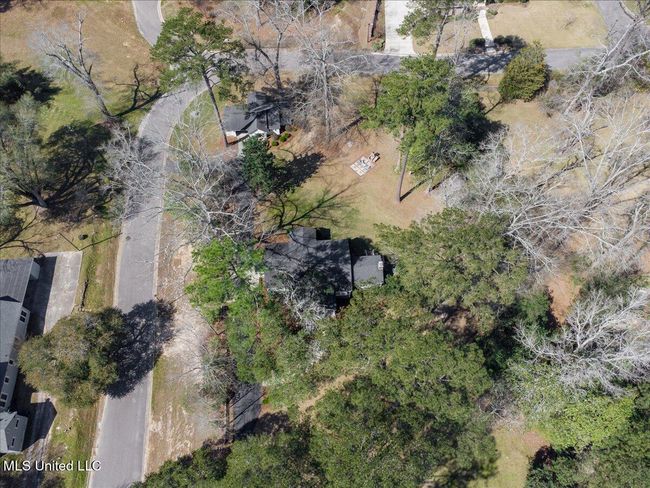 60-DJI_0078 | Image 60