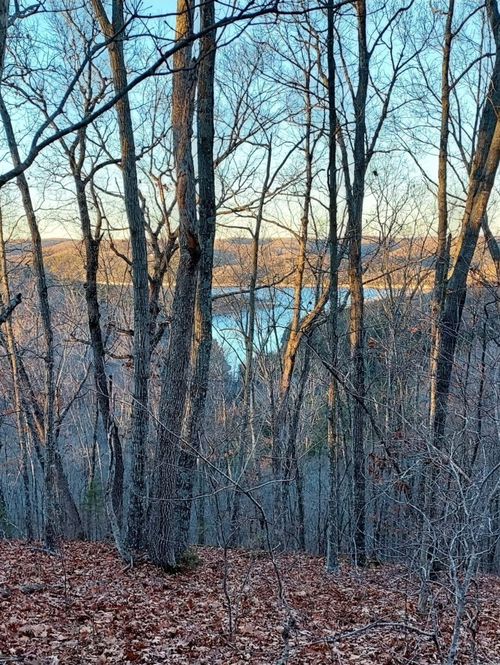 9015 Stallion Bluff Road, Shell Knob, MO, 65747 | Card Image